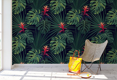 Fototapeta guzmania flowers 14004
